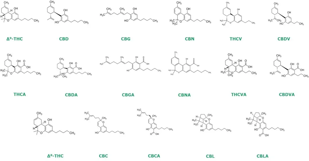 Cannabinoid Molecular Structure